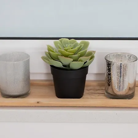 Apartment Bright With Private Garden And Accepting Pets By Renters *